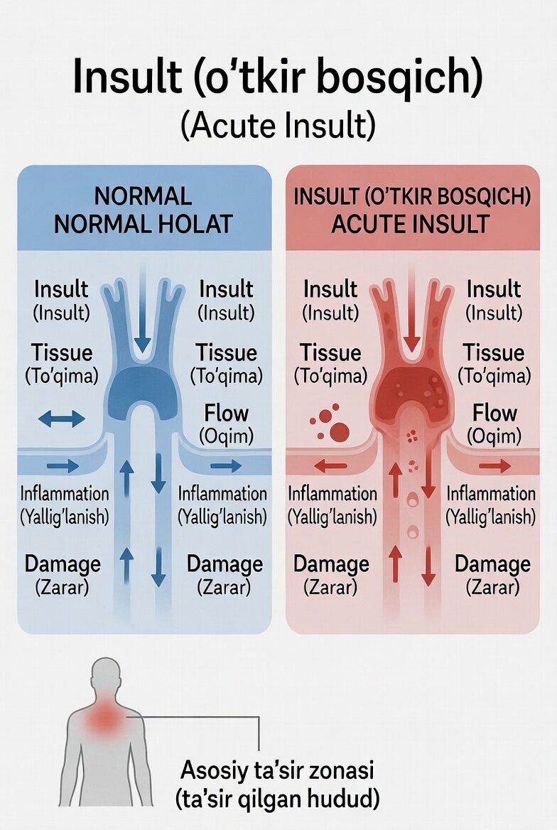 Insult (o‘tkir bosqich)