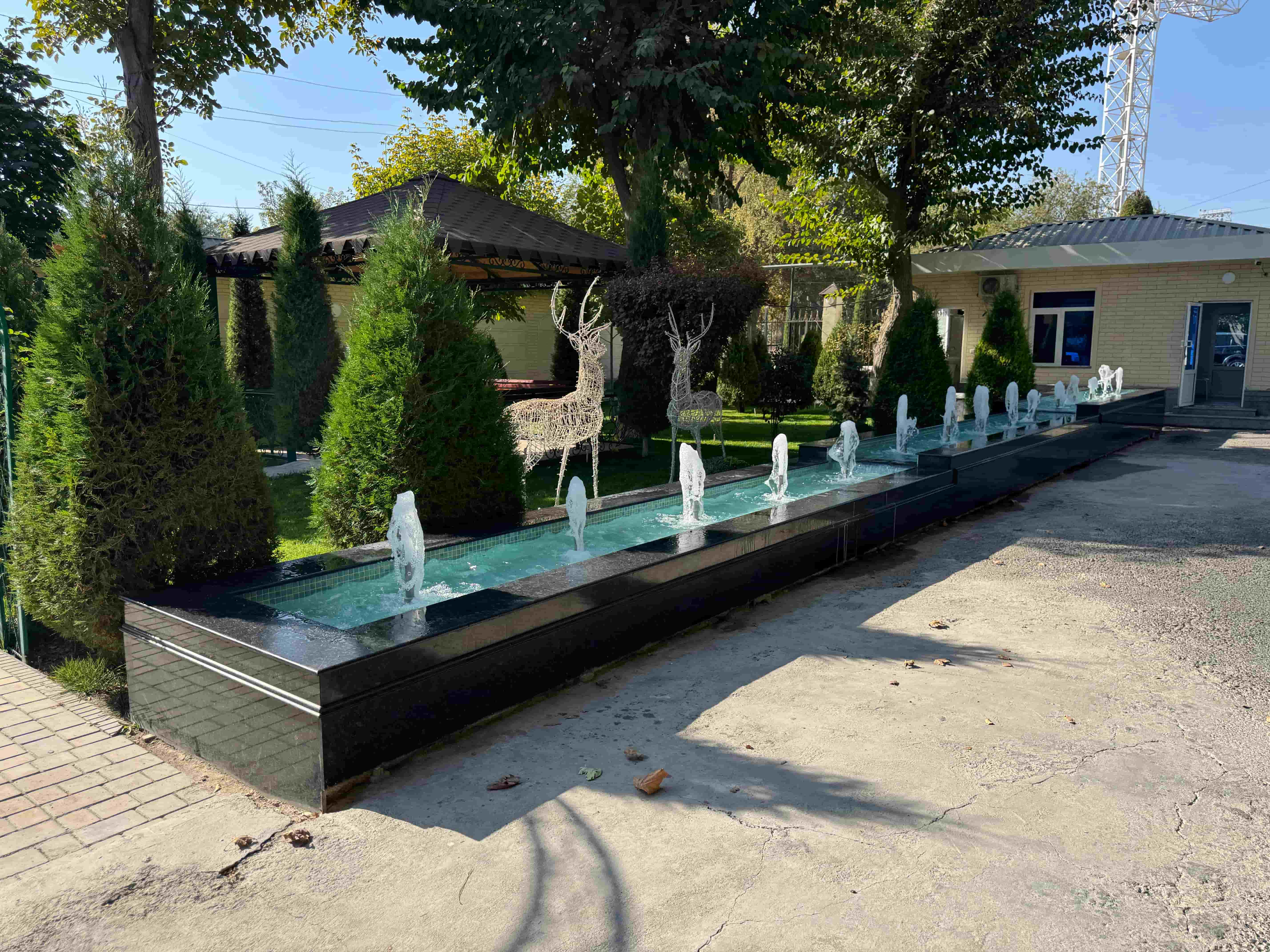 Farhod Madad Shifo Bog'