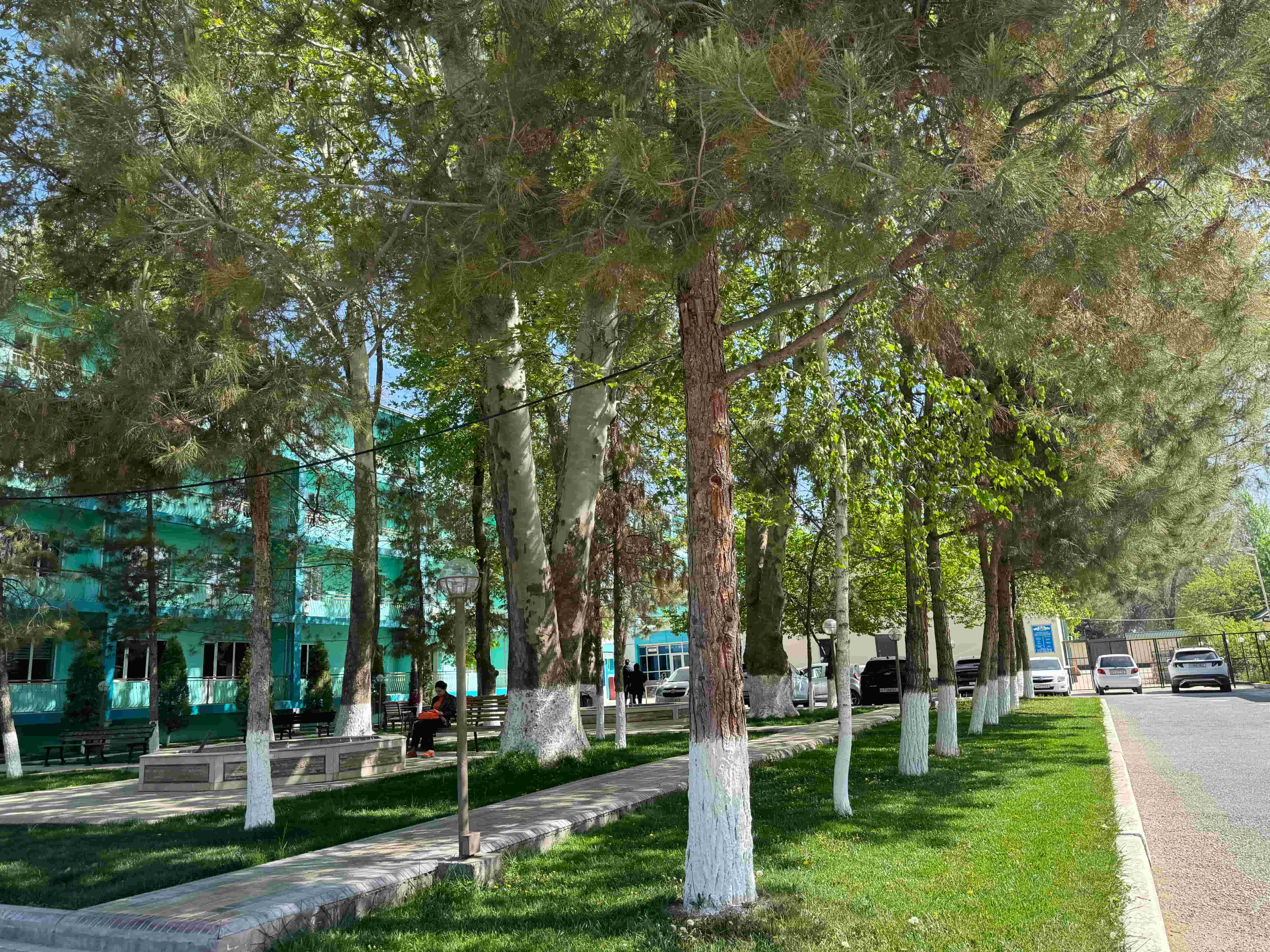 Farhod Madad Shifo Bog'