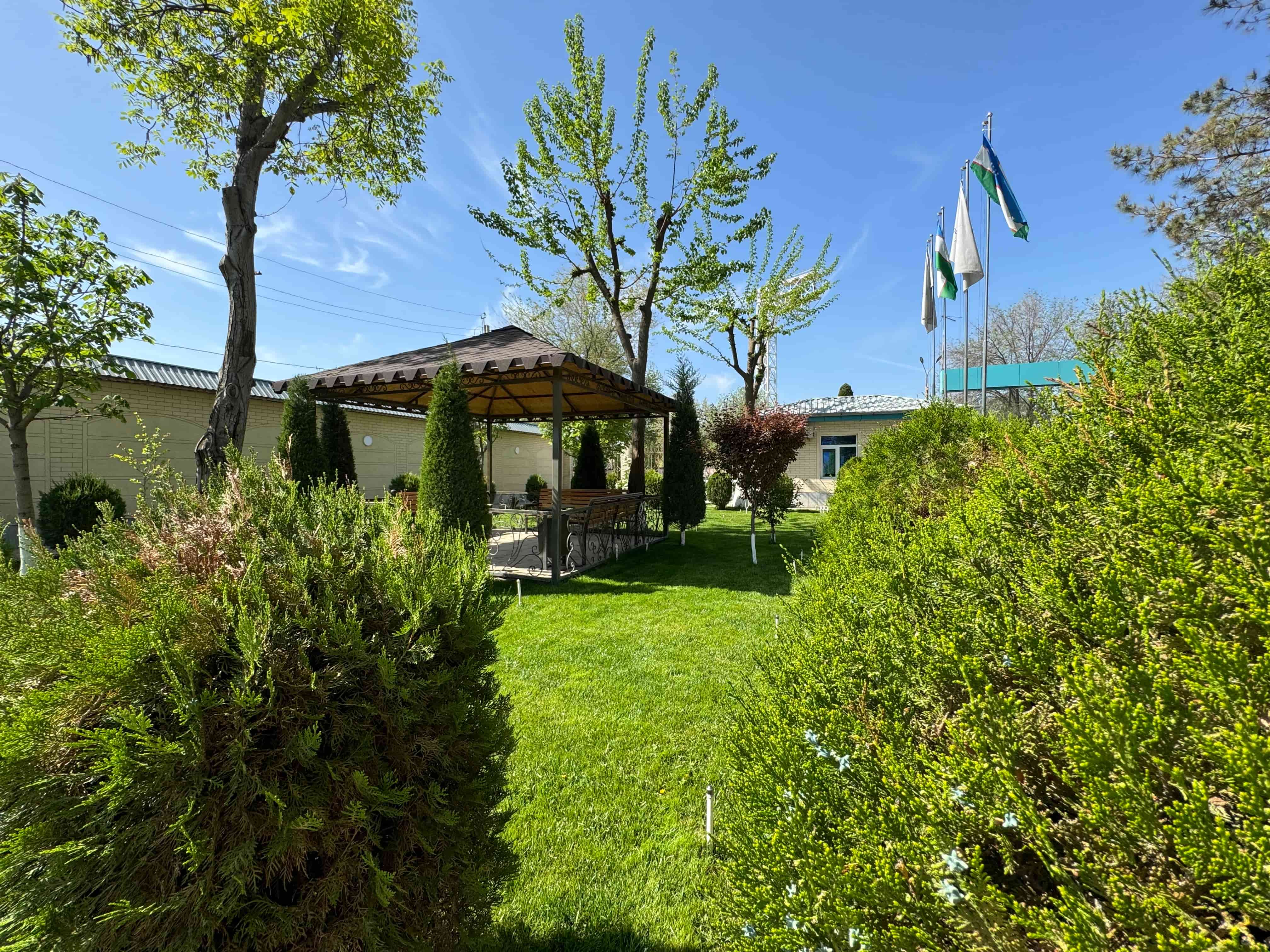 Farhod Madad Shifo Bog'