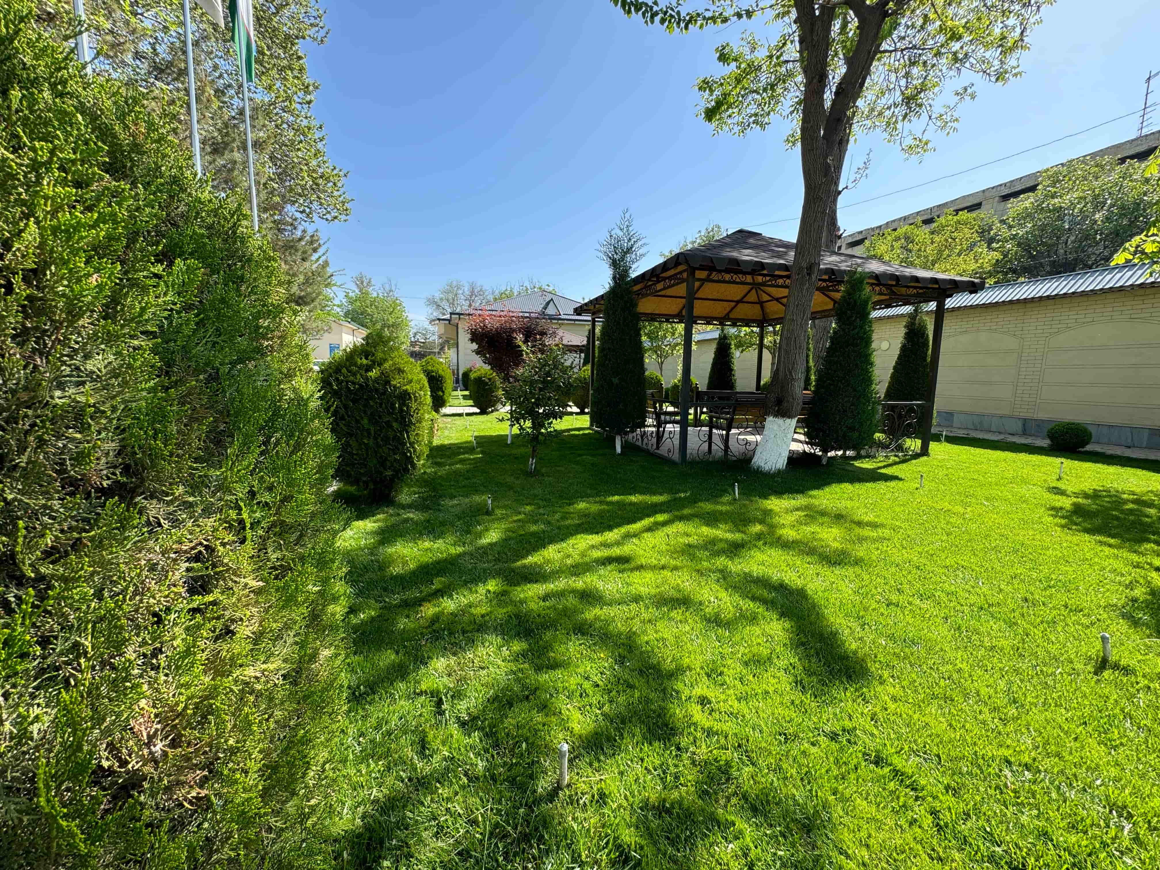 Farhod Madad Shifo Bog'